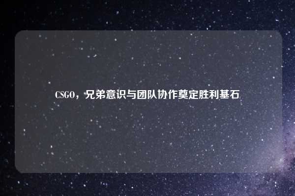 CSGO，兄弟意识与团队协作奠定胜利基石