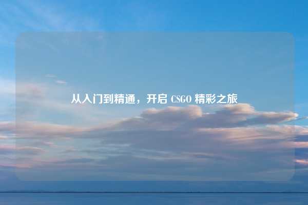 从入门到精通，开启 CSGO 精彩之旅