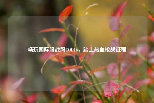 畅玩国际服战网COD16，踏上热血枪战征程