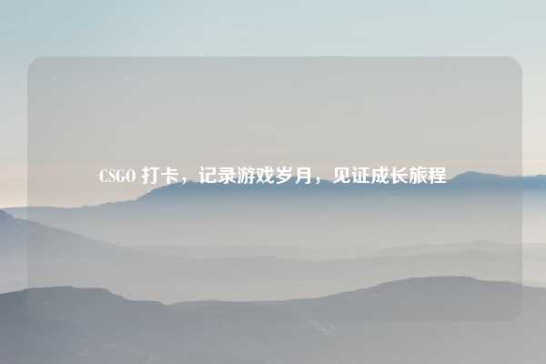 CSGO 打卡，记录游戏岁月，见证成长旅程