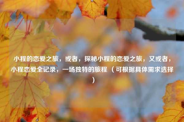 小程的恋爱之旅，或者，探秘小程的恋爱之旅，又或者，小程恋爱全记录，一场独特的旅程 （可根据具体需求选择）