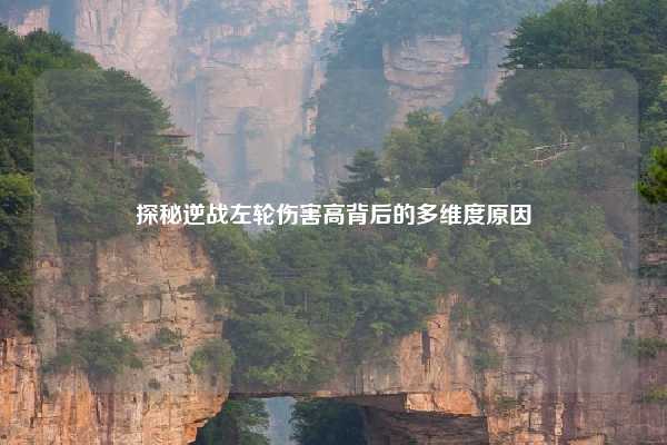 探秘逆战左轮伤害高背后的多维度原因