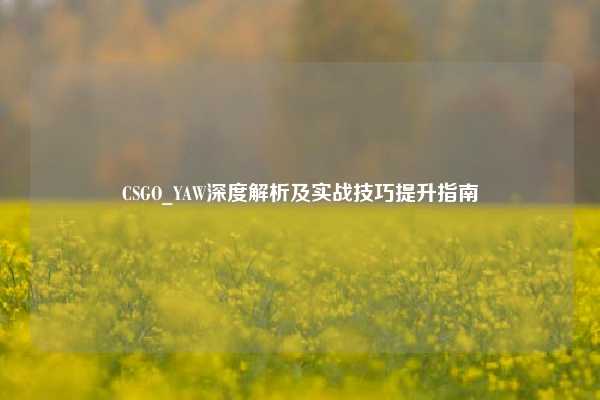 CSGO_YAW深度解析及实战技巧提升指南