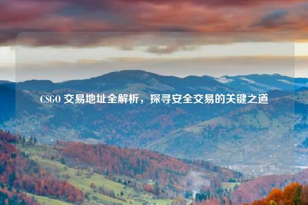 CSGO 交易地址全解析，探寻安全交易的关键之道