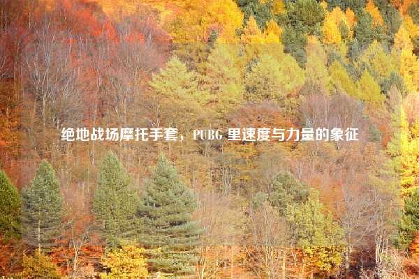 绝地战场摩托手套，PUBG 里速度与力量的象征