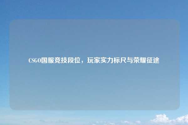 CSGO国服竞技段位，玩家实力标尺与荣耀征途