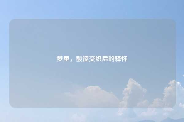 梦里，酸涩交织后的释怀