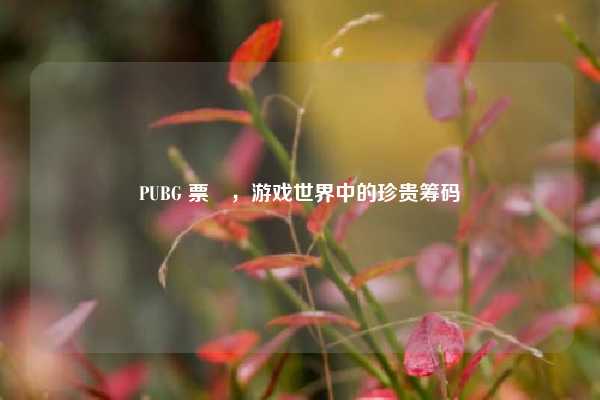 PUBG 票劵，游戏世界中的珍贵筹码