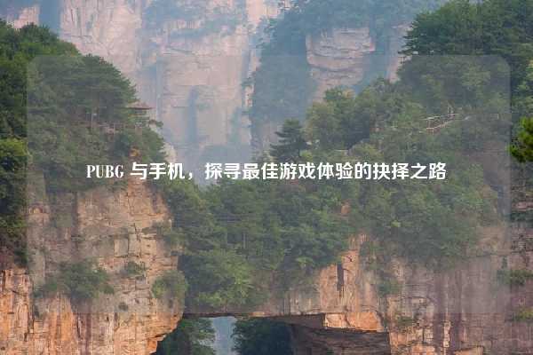 PUBG 与手机，探寻最佳游戏体验的抉择之路