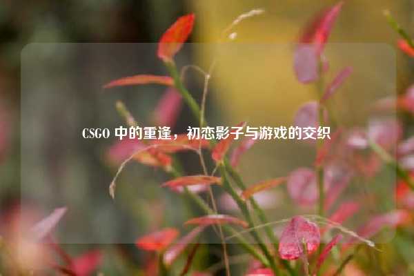 CSGO 中的重逢,初恋影子与游戏的交织