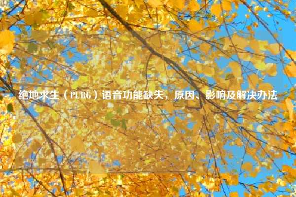 绝地求生（PUBG）语音功能缺失，原因、影响及解决办法