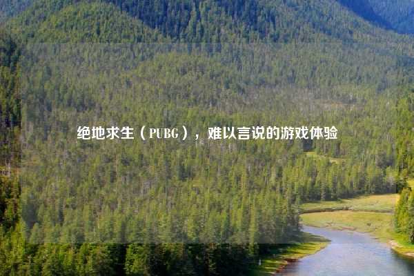 绝地求生（PUBG），难以言说的游戏体验