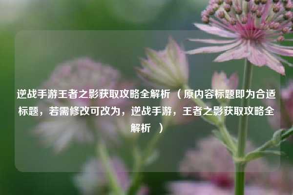 逆战手游王者之影获取攻略全解析 （原内容标题即为合适标题，若需修改可改为，逆战手游，王者之影获取攻略全解析  ）