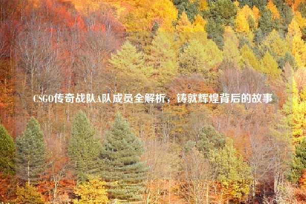 CSGO传奇战队A队成员全解析，铸就辉煌背后的故事