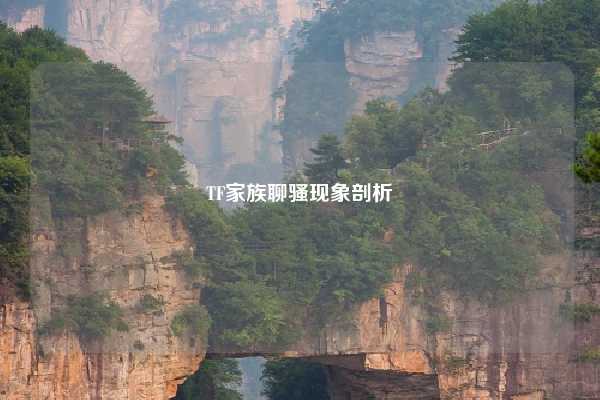 TF家族聊骚现象剖析