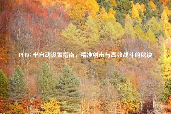 PUBG 半自动设置指南，精准射击与高效战斗的秘诀