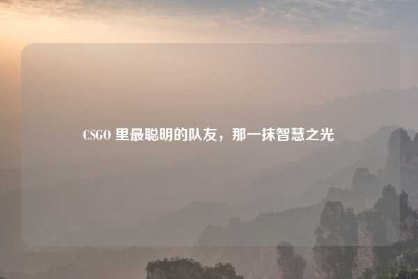 CSGO 里最聪明的队友，那一抹智慧之光