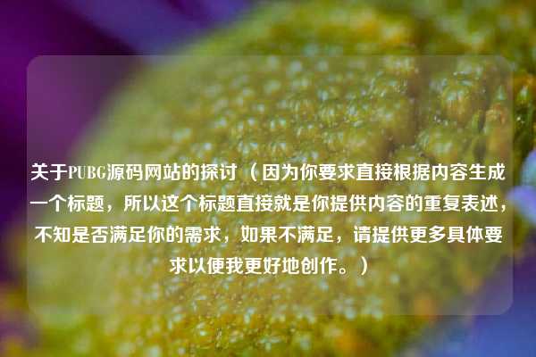 关于PUBG源码网站的探讨 （因为你要求直接根据内容生成一个标题，所以这个标题直接就是你提供内容的重复表述，不知是否满足你的需求，如果不满足，请提供更多具体要求以便我更好地创作。）