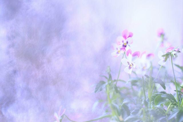 让对方看到忽然心疼的句子(你看过的最好看的耽美文是什么)