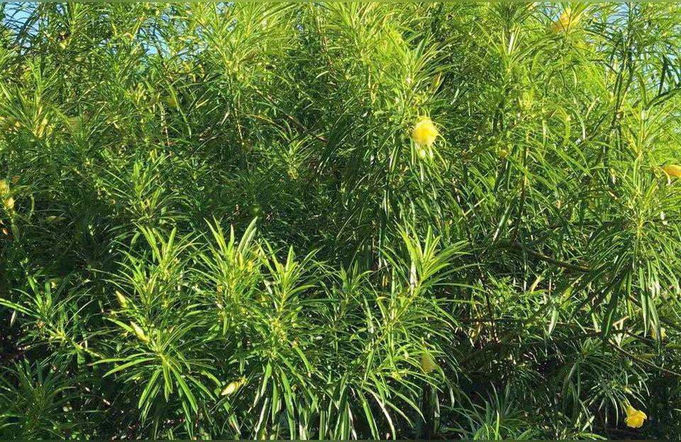 个性独立的微信签名(个性签名1什么意思)