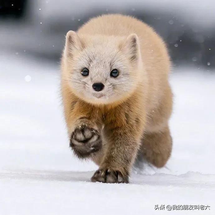 短句文案高质量(文案短句干净三观正高冷)