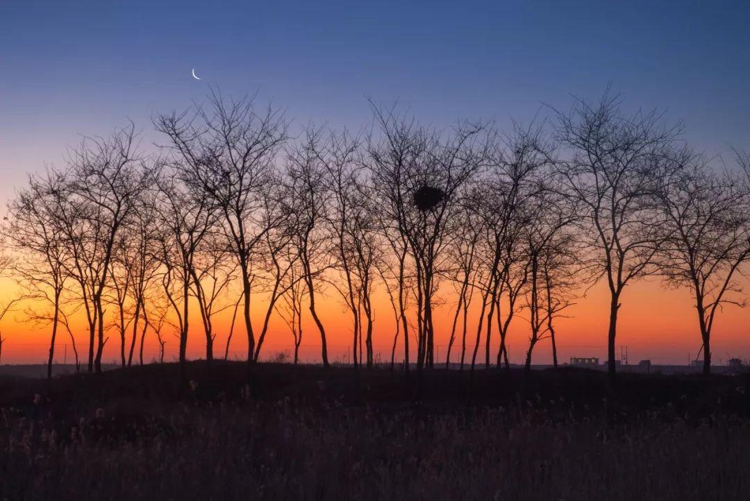 关于感情的说说伤感(你对一个比悲伤更悲伤的故事这部电影的评价是什么)