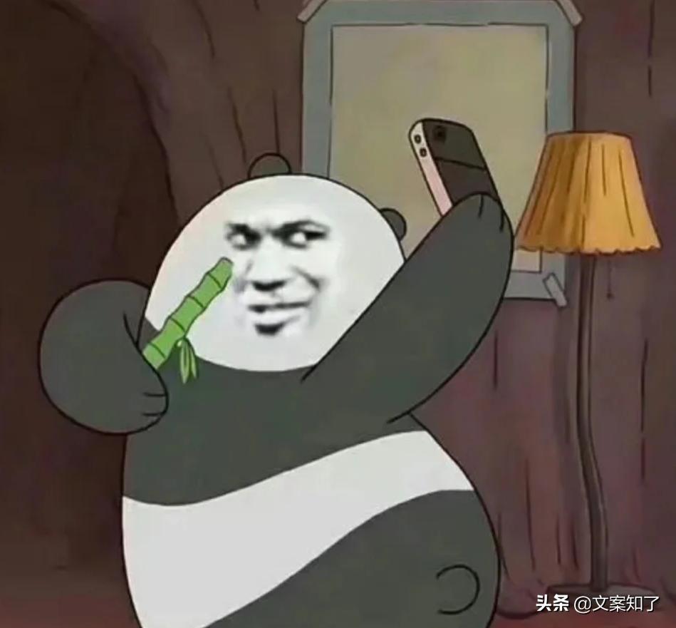 搞笑又走心的文案(别伤心的搞笑文案)