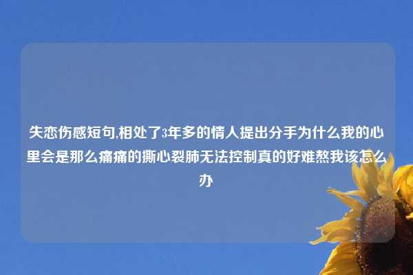 失恋伤感短句,相处了3年多的情人提出分手为什么我的心里会是那么痛痛的撕心裂肺无法控制真的好难熬我该怎么办