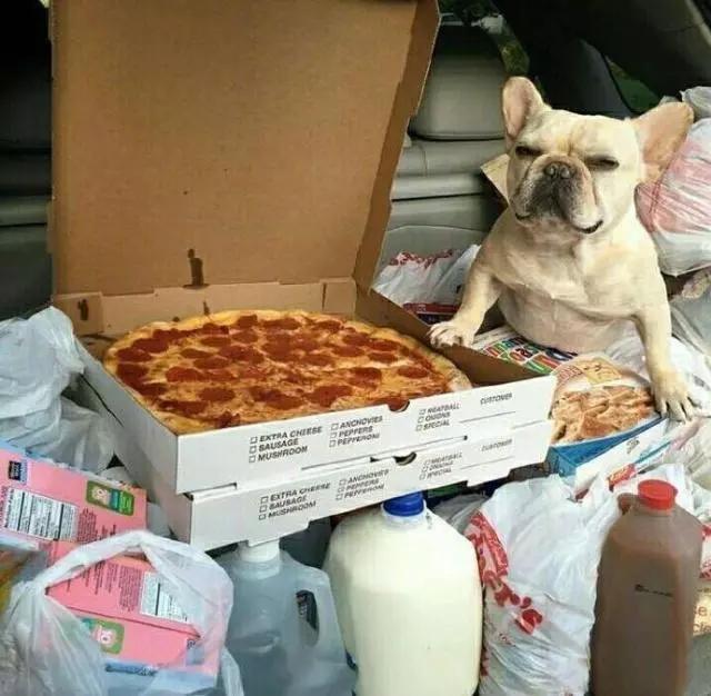 搞笑的短句(一语双关幽默句子)