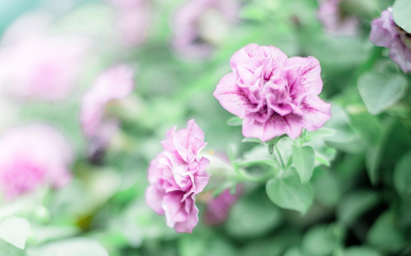 伤感短句八字短句(这里说的六亲指的是哪六亲)