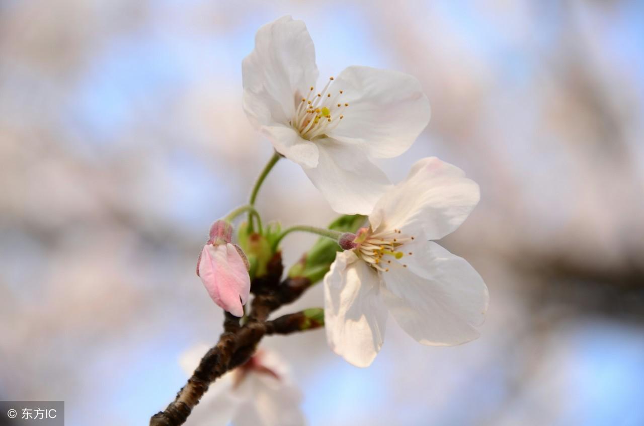 八字伤感短句(八字女人心酸扎心短句)