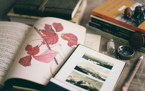 爱情说说大全一段话遇见你(有了新欢的男人有什么征兆)