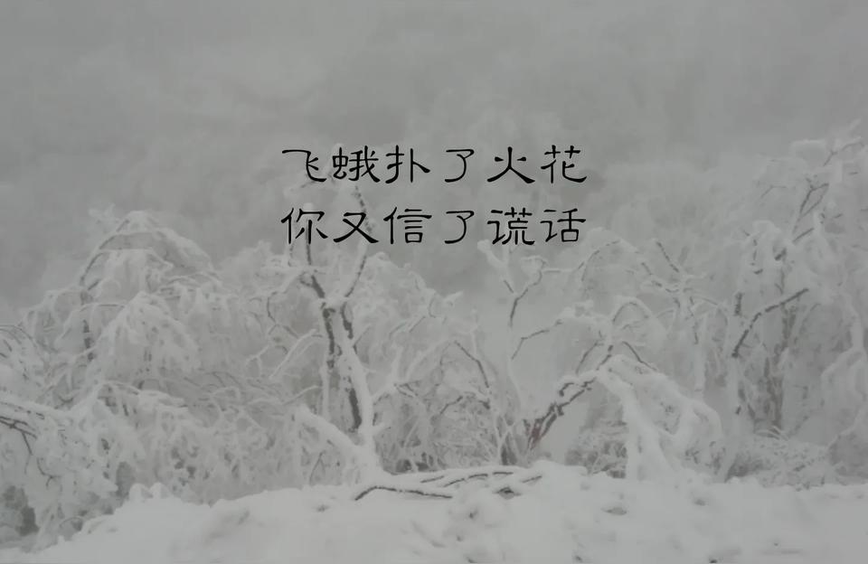 深夜伤感短句配图(一个女人深夜喝酒的伤感文章)