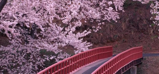 qq签名个性签名简短治愈(谁能推荐一本好看的小说)