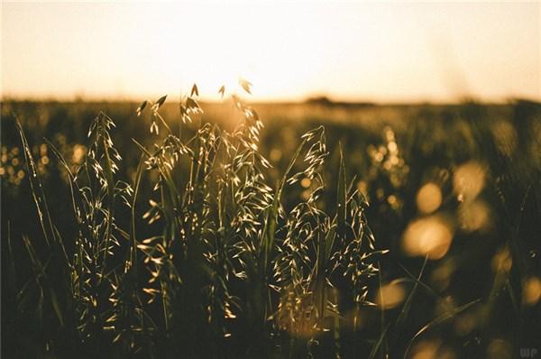 搜个好的个性签名(你用过哪些很有个性的签名)