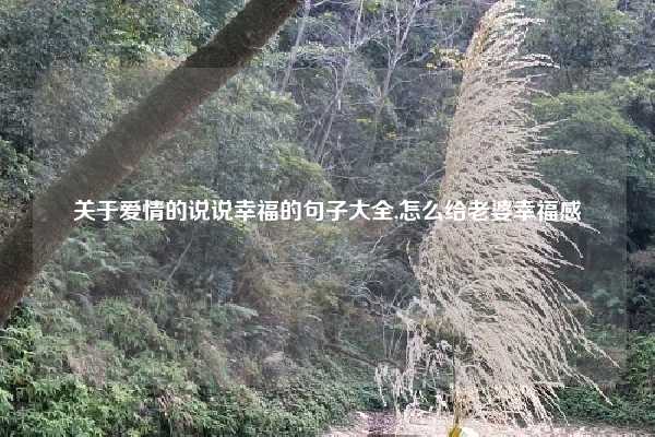 关于爱情的说说幸福的句子大全,怎么给老婆幸福感