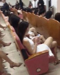 开会 搞笑语录(酒神的搞笑说说)