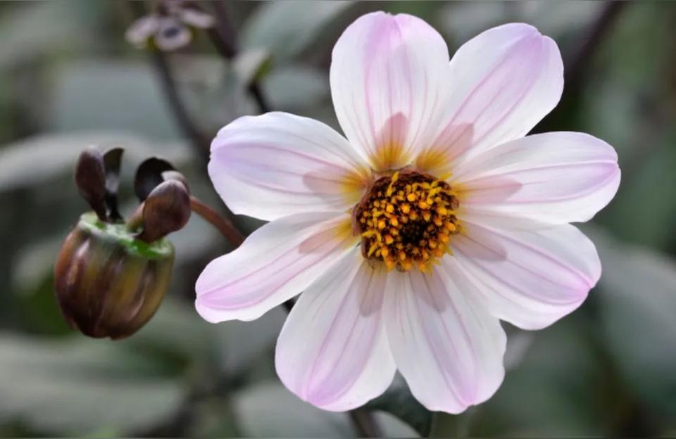 心情说说短句朋友圈(发朋友圈的好心情句子)