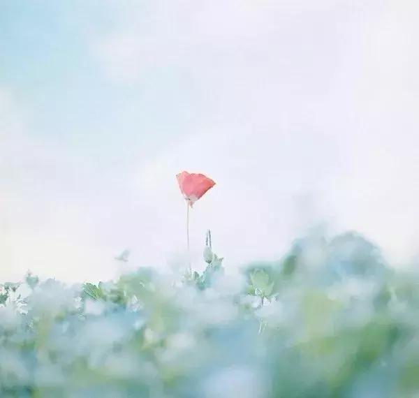 个性签名的经典字句(60岁男人个性签名)