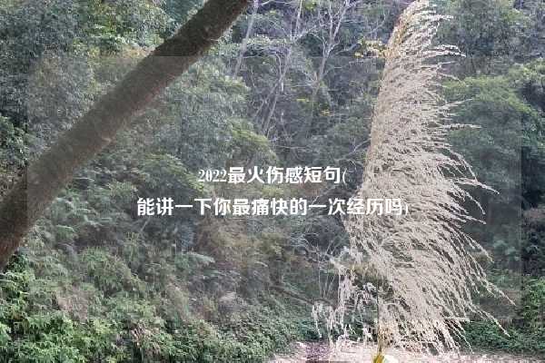 2022最火伤感短句(
能讲一下你最痛快的一次经历吗)