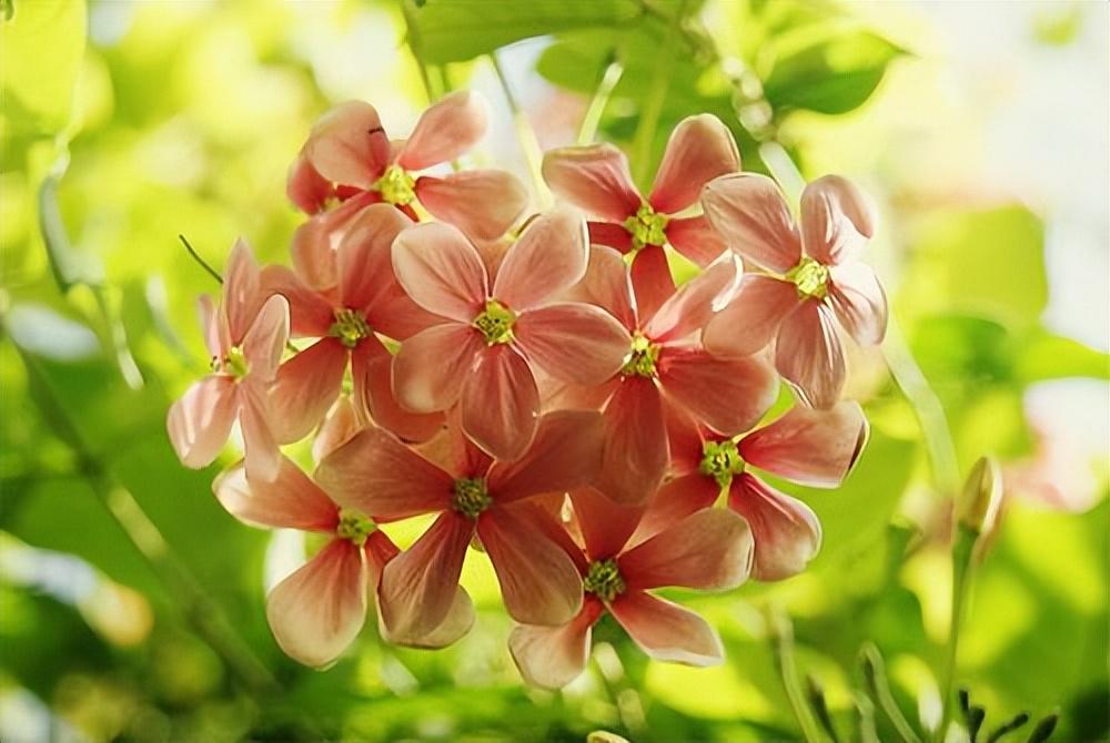 个性签名的经典句子(2021年进度余额不足的幽默说说)