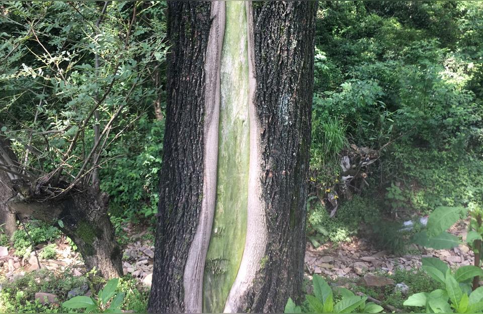 搞笑文案配图(搞笑领域的图片去哪里下载)