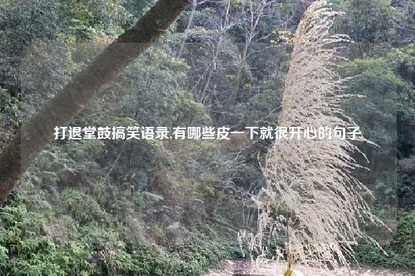 打退堂鼓搞笑语录,有哪些皮一下就很开心的句子