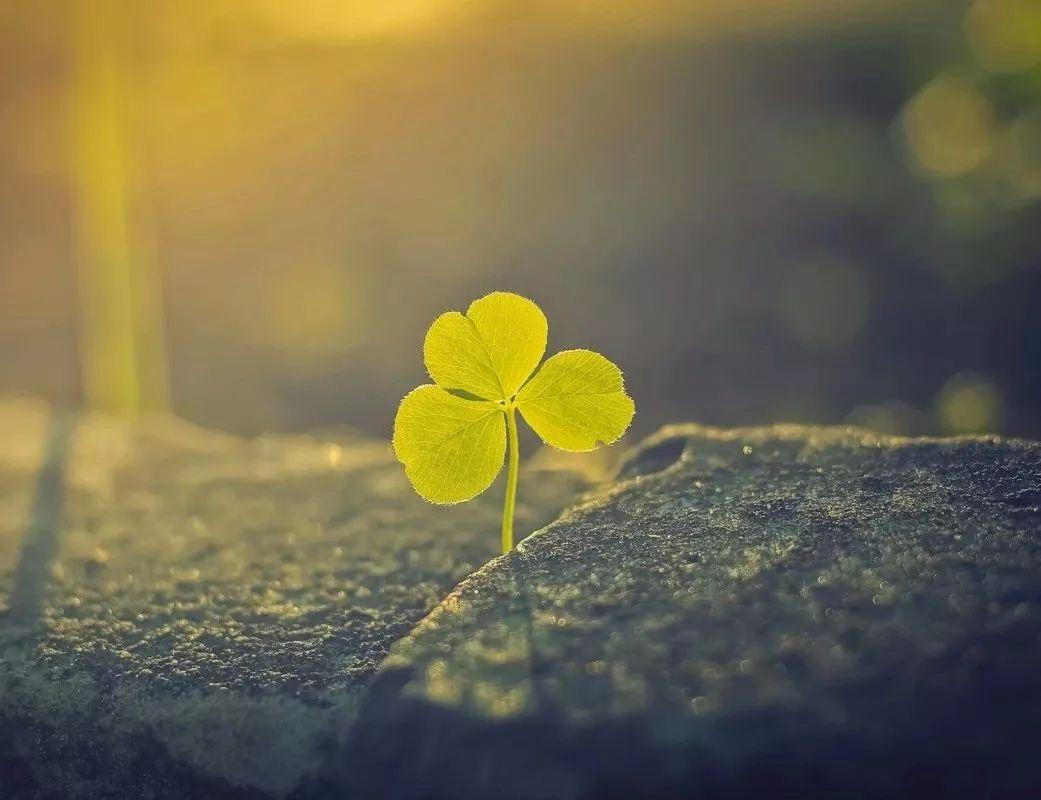 悲伤爱情的句子说说心情(不能拥有感情的伤感诗句)