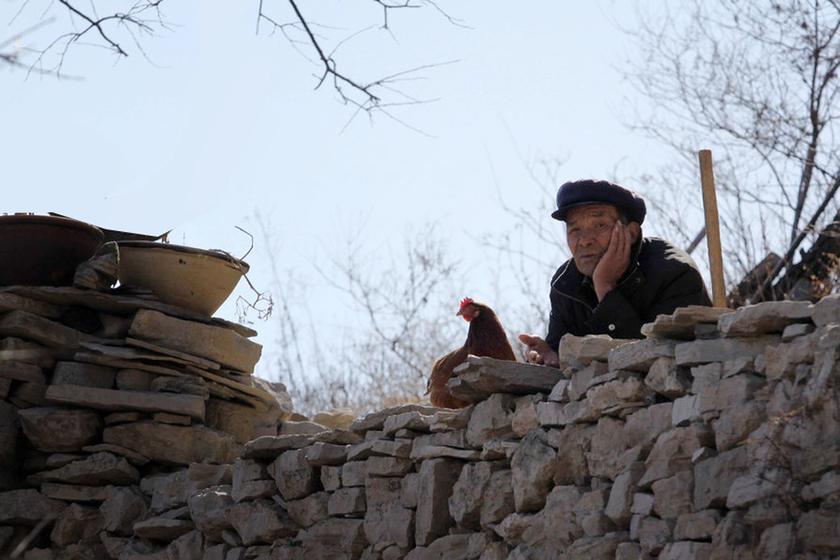 孤独四字短句(可是却不愿意去和别人交朋友)