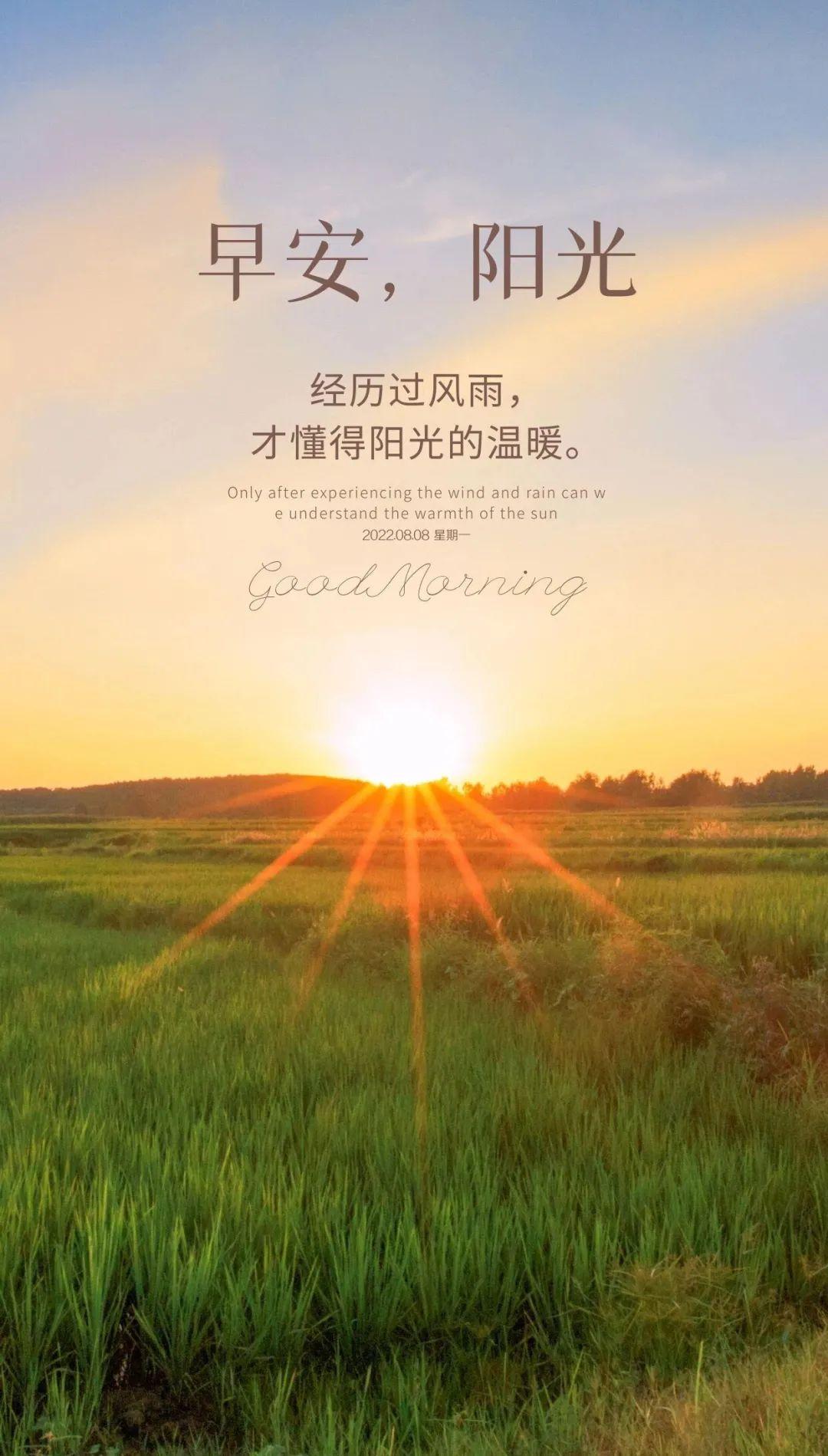 个性签名励志阳光(请大佬们分享一下自己的收藏如何)