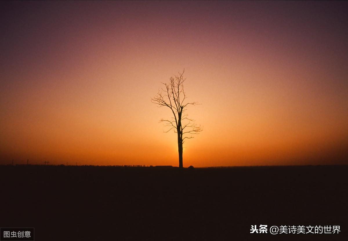 伤感又痴情的诗句(表达悲伤悔恨诗句)