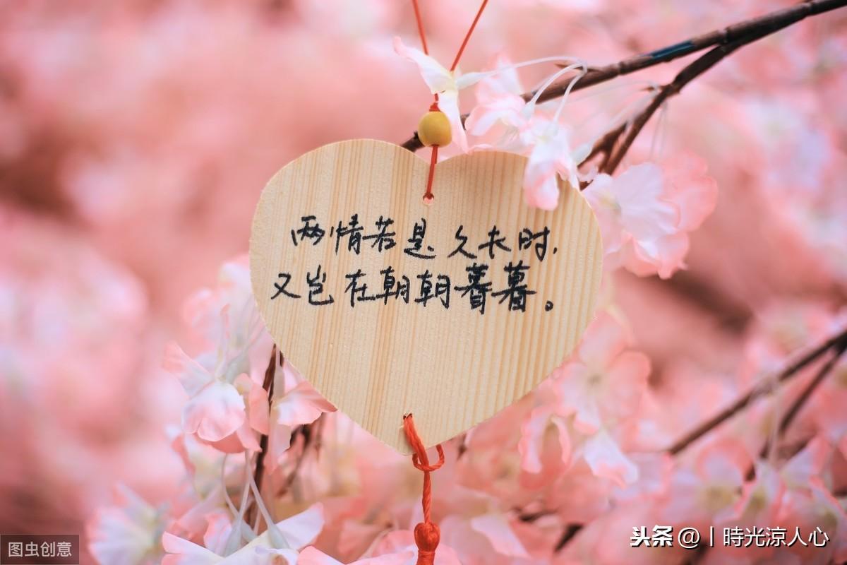 爱情文案小清新美句(暗示女朋友恋爱关系平等的文案)