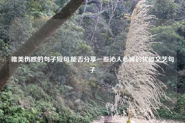 唯美伤感的句子短句,能否分享一些沁人心脾的优雅文艺句子