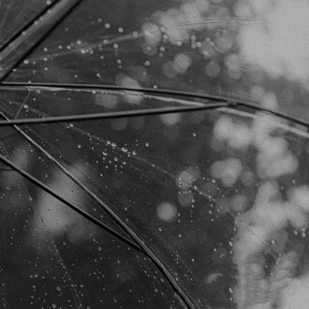 伤感到哭网名2个字(你见过最过分的闹洞房是什么样子的)